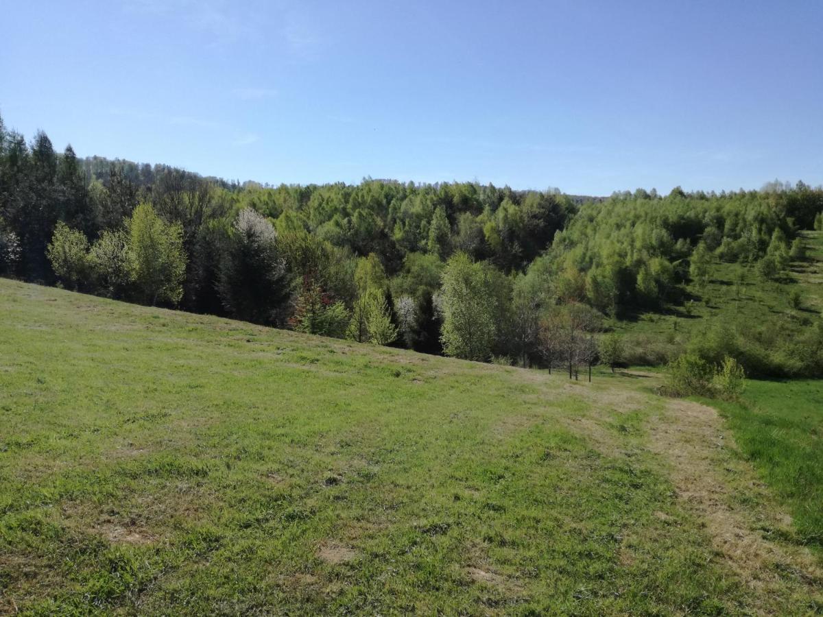 Domek Z Widokiem Sanok Esterno foto